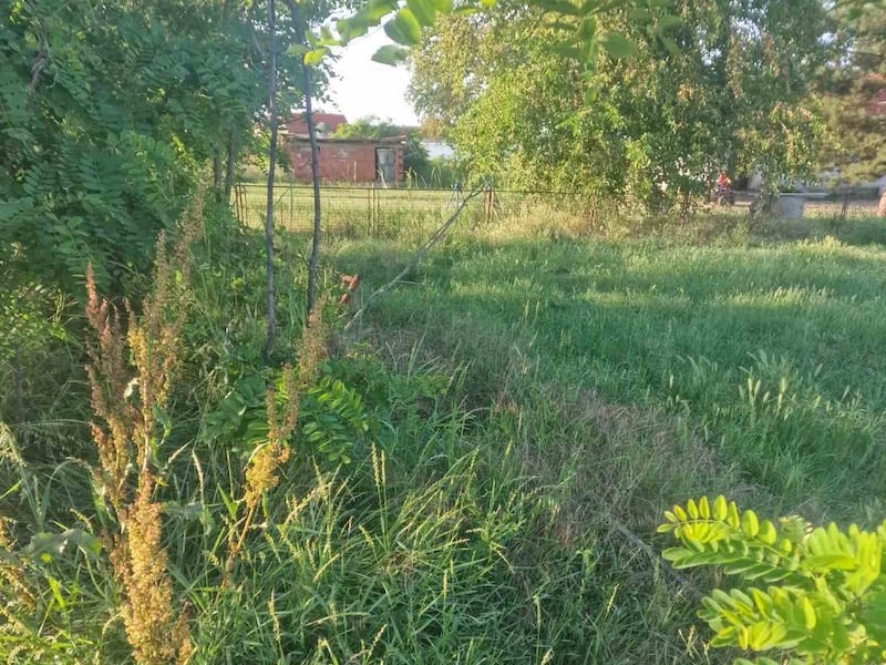 Bez dozvole roditelja funkcioneri u Žitorađi se slikali sa đacima, pa brisali dokaze sa stranačkog Fejsbuka 3 IMG 8386