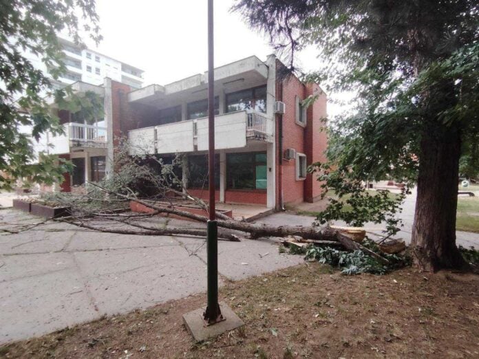 Srušila se velika grana u dvorištu vrtića „Leptirić“ u Nišu
