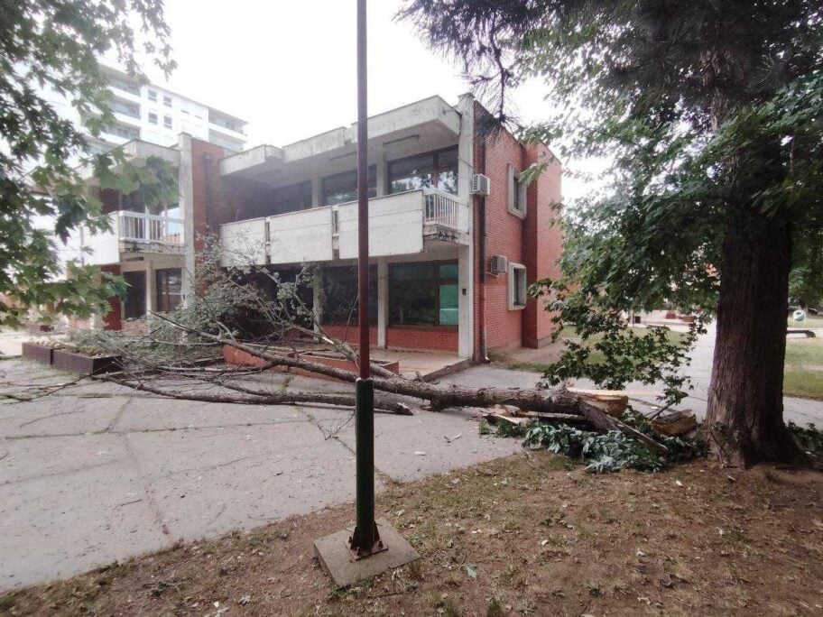 Srušila se velika grana u dvorištu vrtića "Leptirić" u Nišu 7 IMG 20260716 171000 786