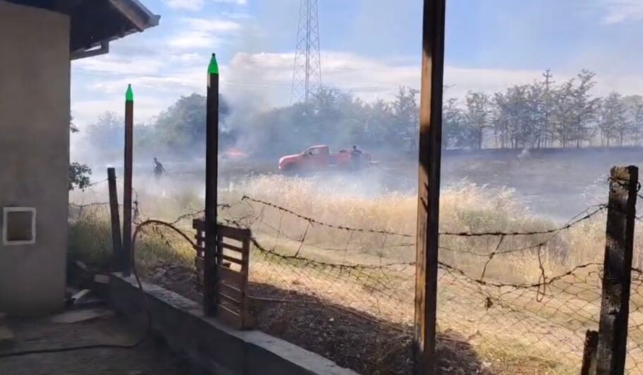 Požar na Viniku u Nišu - gori rastinje, vatra zahvatila i objekte 2 IMG 7885