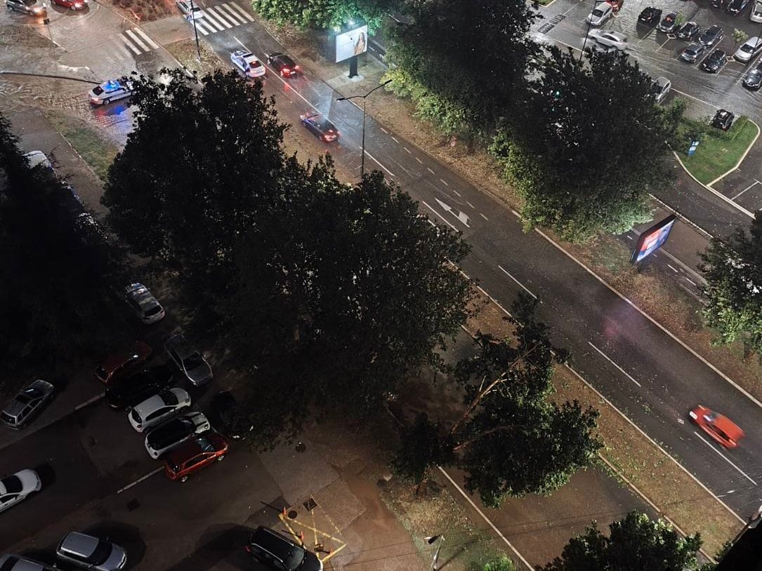Nevreme pogodilo Niš - vetar oborio drveće na ulice, pao i deo semafora kod Suda 1 drvo delta